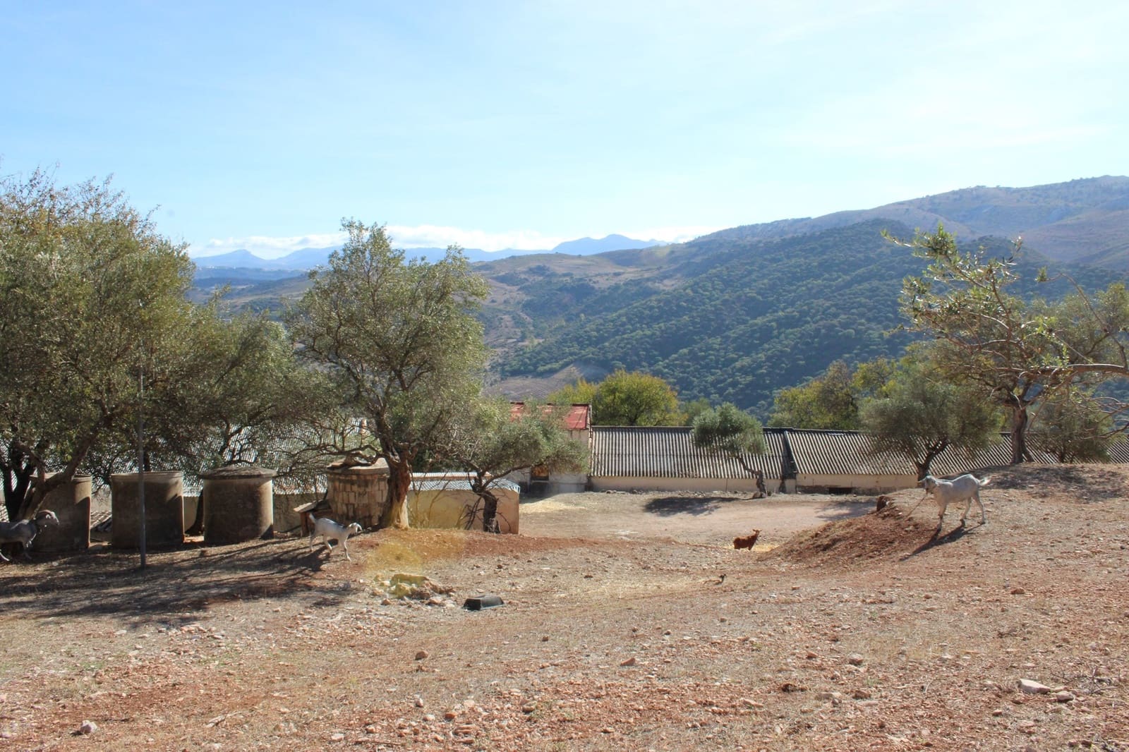 2 bedroom Finca/Country House for sale in Benaojan - € 380,000 (Ref: 8940221)