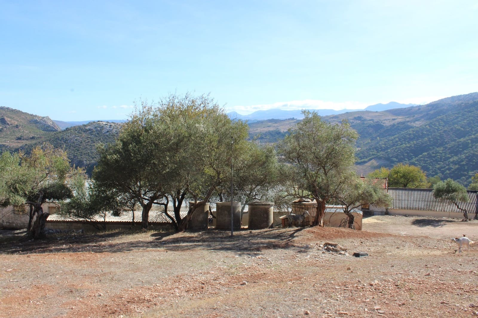 2 bedroom Finca/Country House for sale in Benaojan - € 380,000 (Ref: 8940221)
