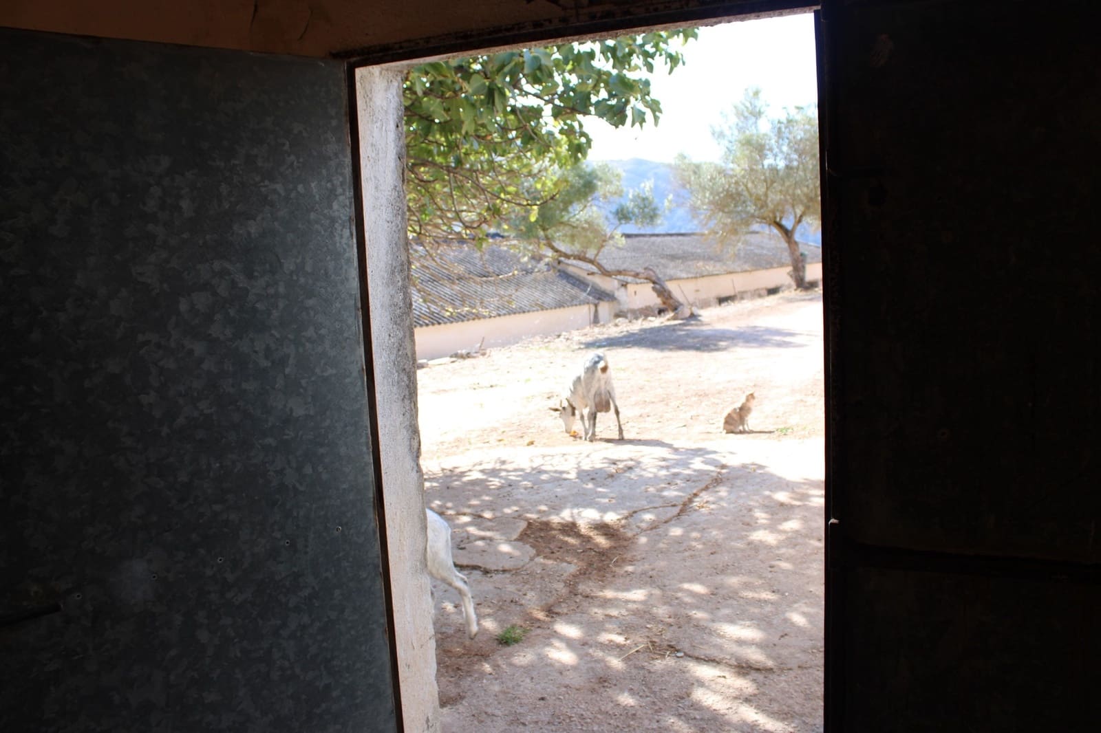 2 bedroom Finca/Country House for sale in Benaojan - € 380,000 (Ref: 8940221)