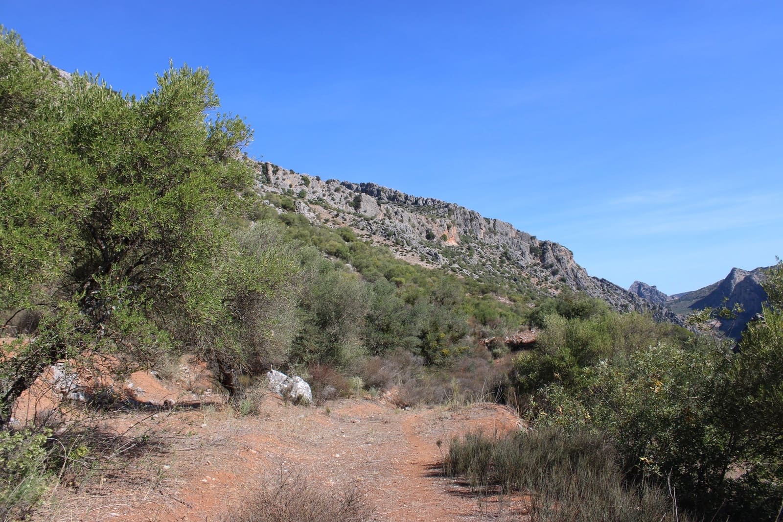 2 bedroom Finca/Country House for sale in Benaojan - € 380,000 (Ref: 8940221)