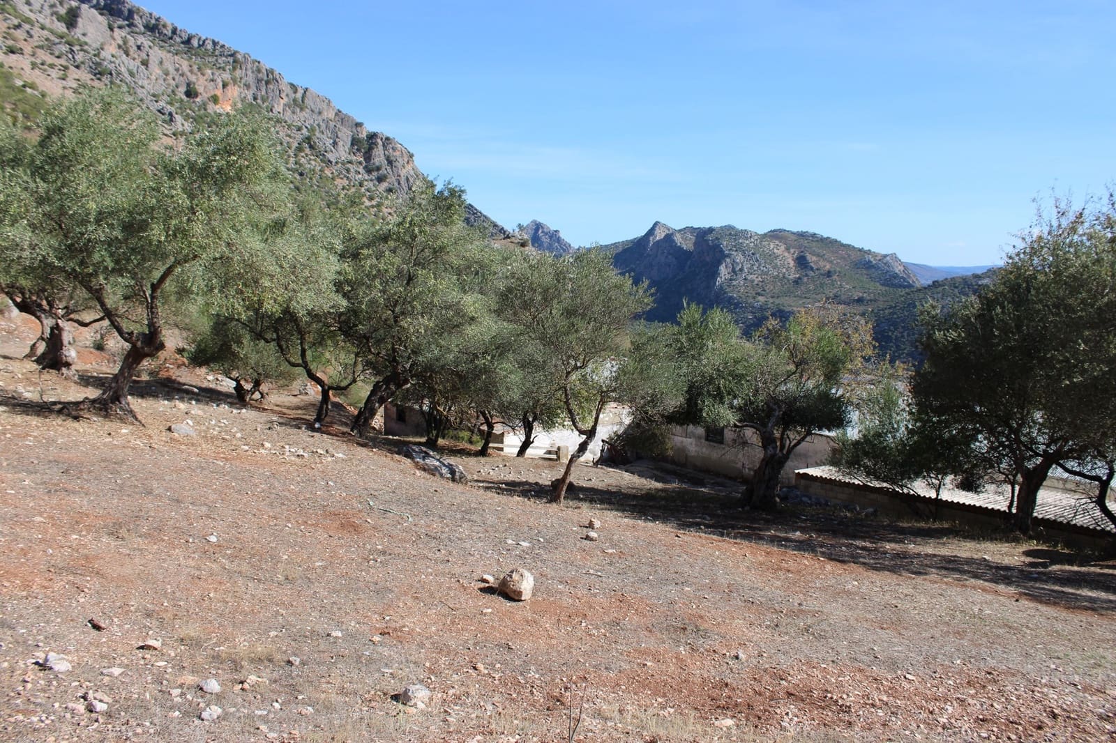 2 bedroom Finca/Country House for sale in Benaojan - € 380,000 (Ref: 8940221)