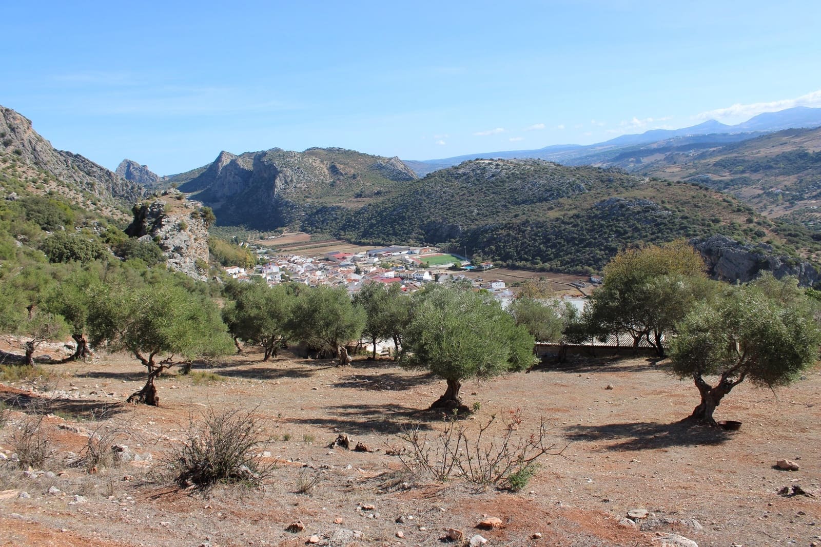 2 bedroom Finca/Country House for sale in Benaojan - € 380,000 (Ref: 8940221)