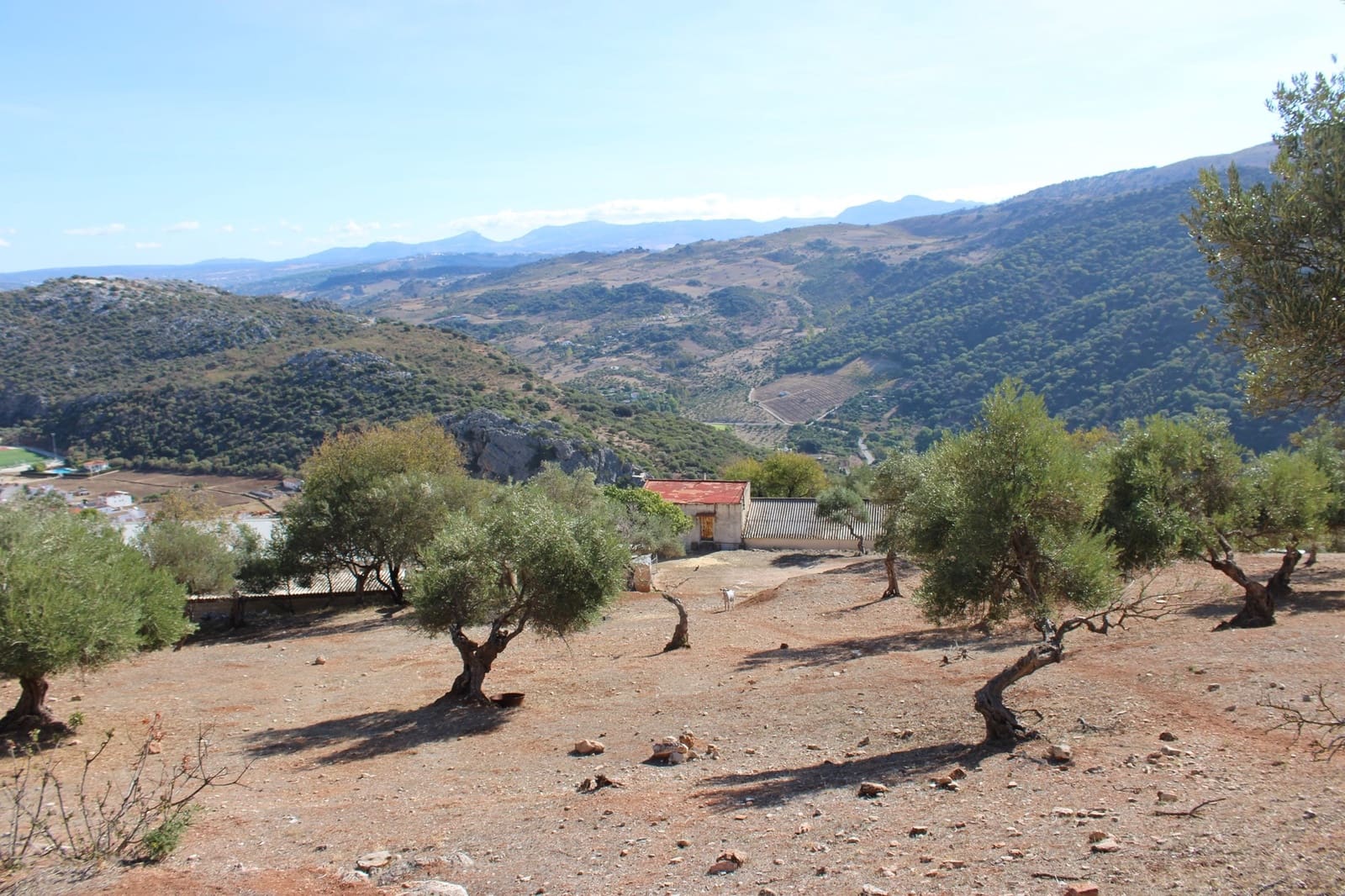 2 bedroom Finca/Country House for sale in Benaojan - € 380,000 (Ref: 8940221)