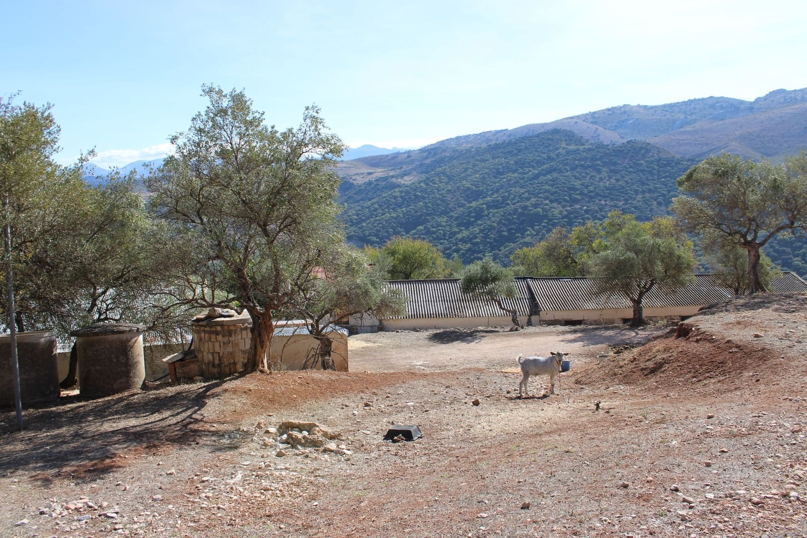 2 bedroom Finca/Country House for sale in Benaojan - € 380,000 (Ref: 8940221)