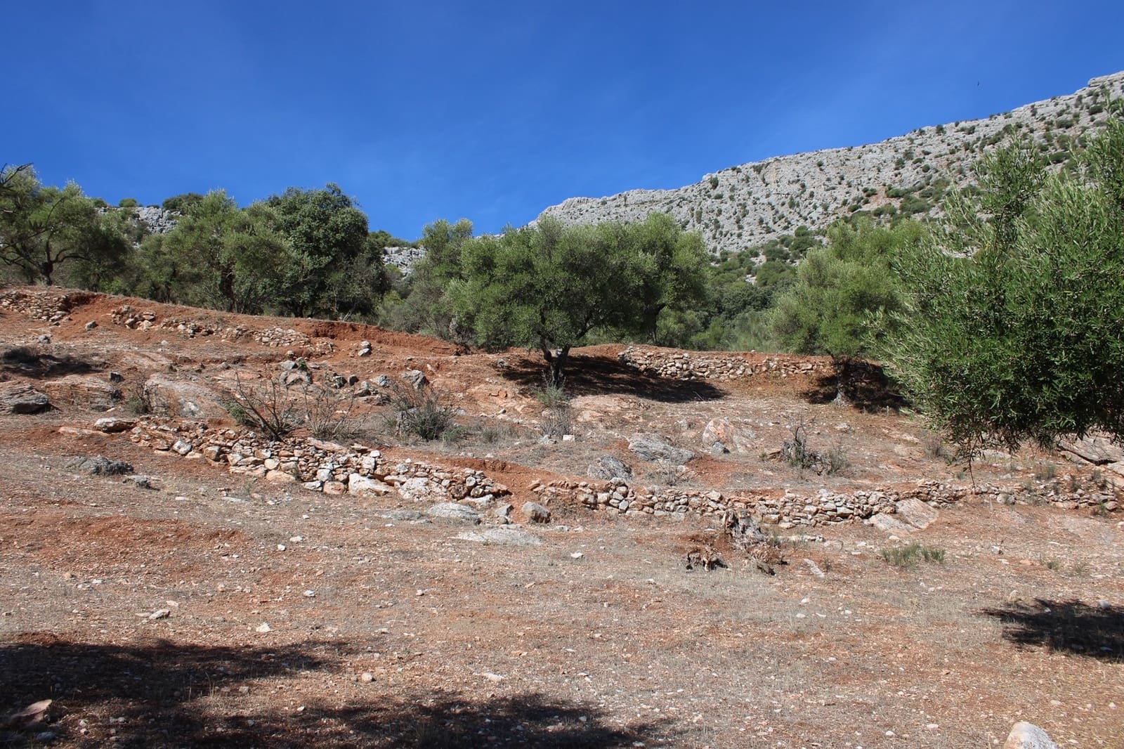 2 bedroom Finca/Country House for sale in Benaojan - € 380,000 (Ref: 8940221)