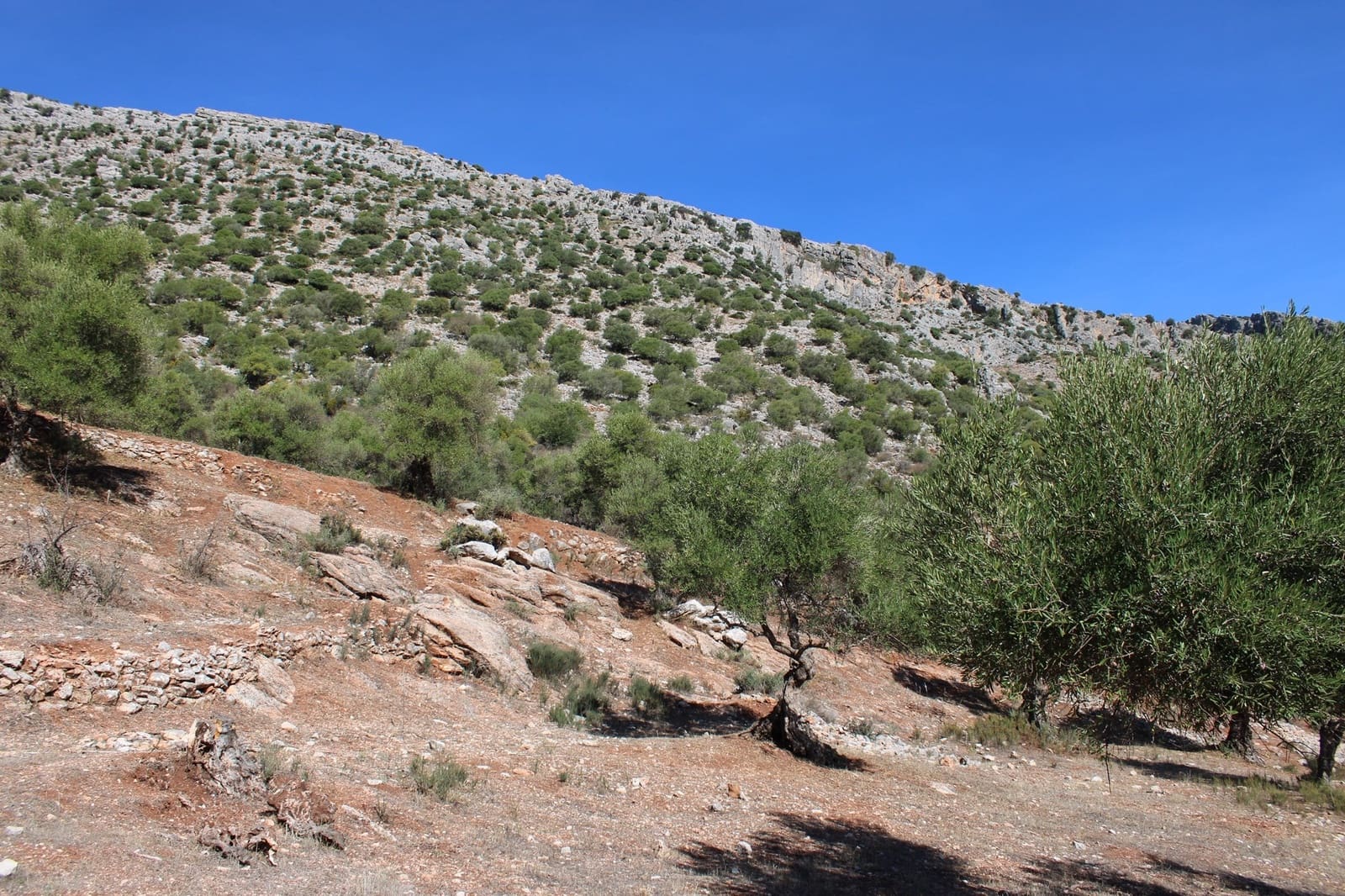 2 bedroom Finca/Country House for sale in Benaojan - € 380,000 (Ref: 8940221)