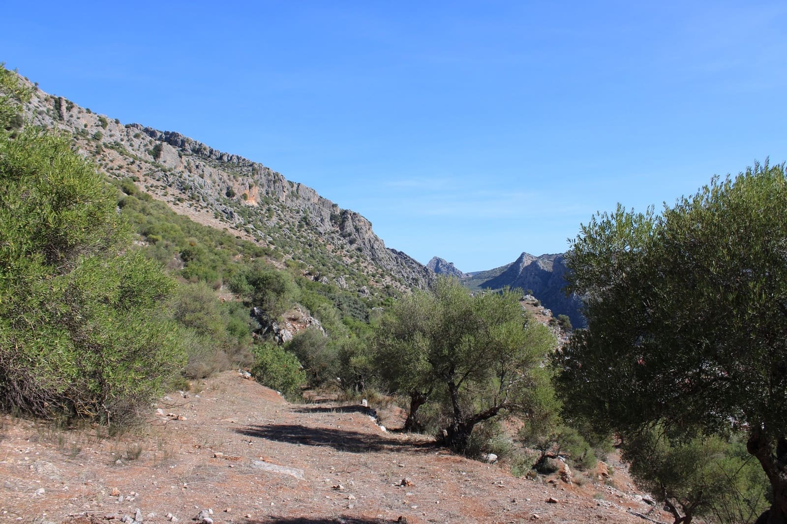 2 bedroom Finca/Country House for sale in Benaojan - € 380,000 (Ref: 8940221)