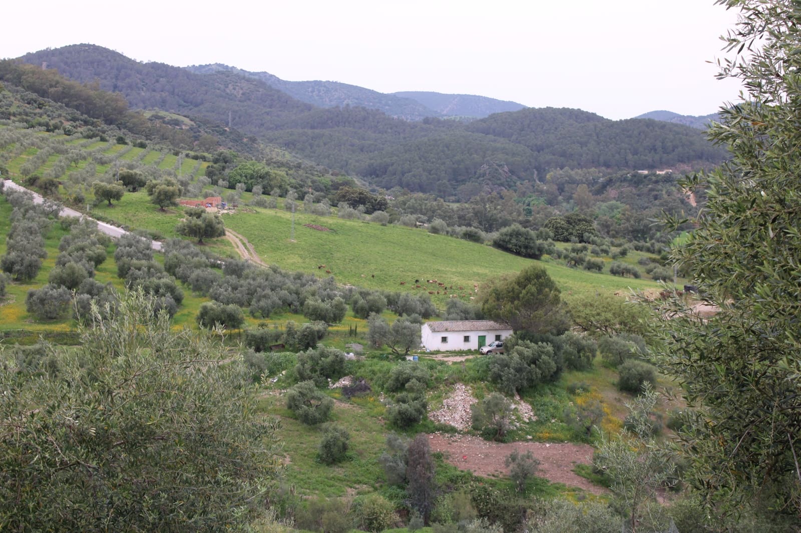 1 soveværelse Finca/Landehus til salg i Algodonales - € 180.000 (Ref: 8940557)