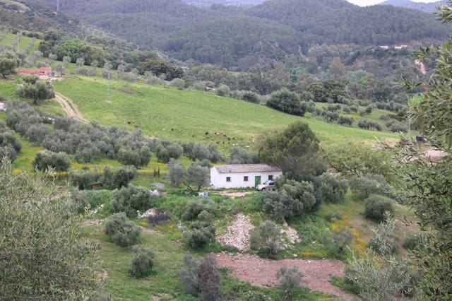 1 soveværelse Finca/Landehus til salg i Algodonales - € 180.000 (Ref: 8940557)