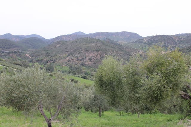 1 soveværelse Finca/Landehus til salg i Algodonales - € 180.000 (Ref: 8940557)