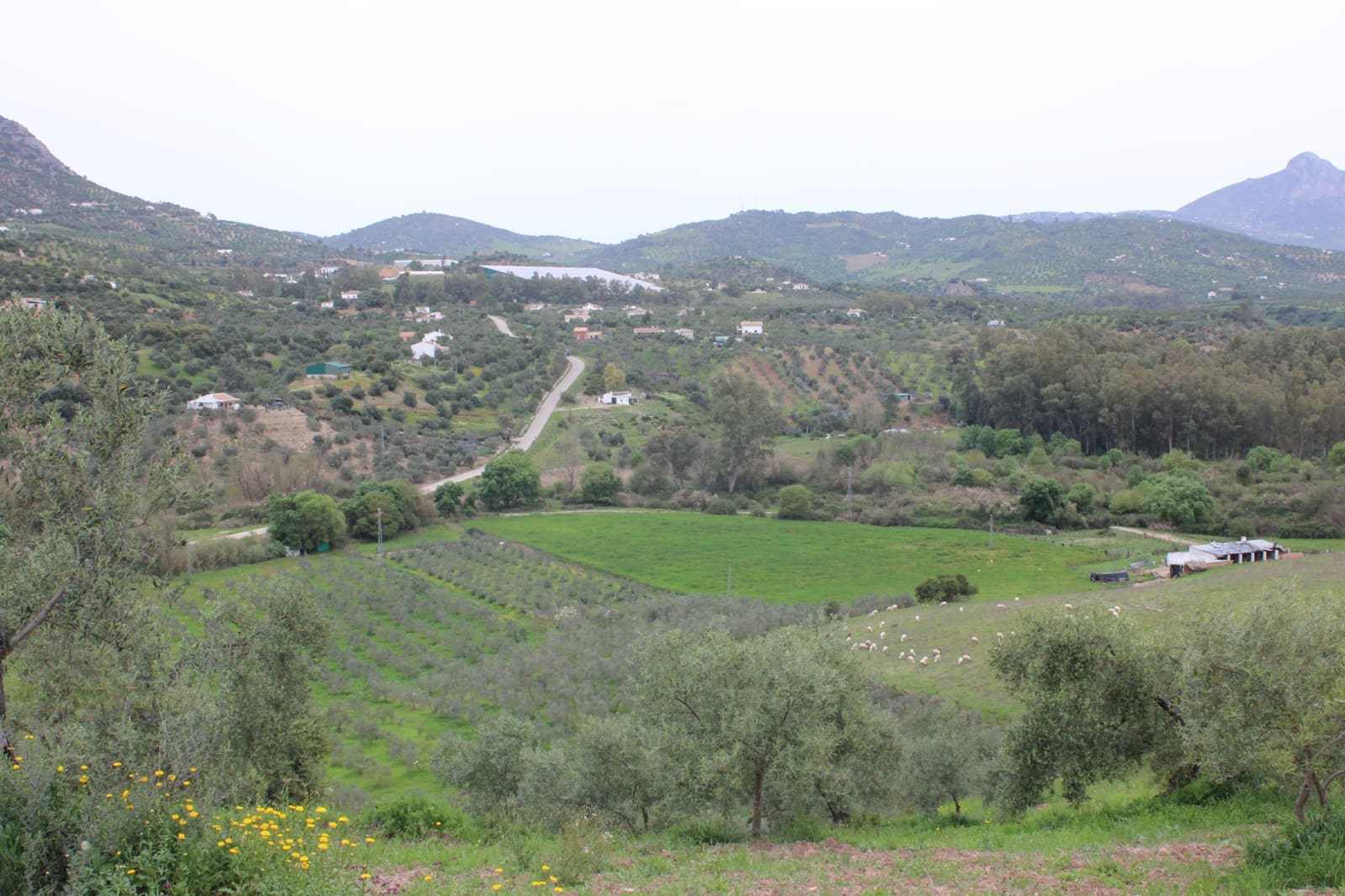 1 soveværelse Finca/Landehus til salg i Algodonales - € 180.000 (Ref: 8940557)