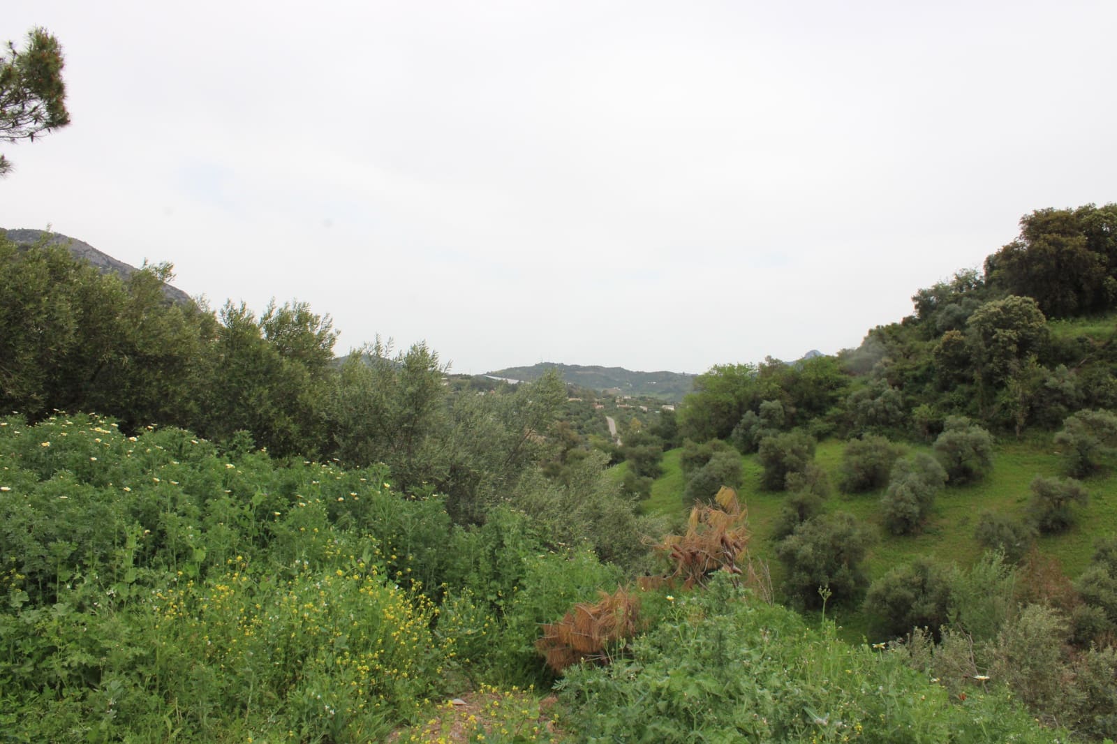 1 soveværelse Finca/Landehus til salg i Algodonales - € 180.000 (Ref: 8940557)