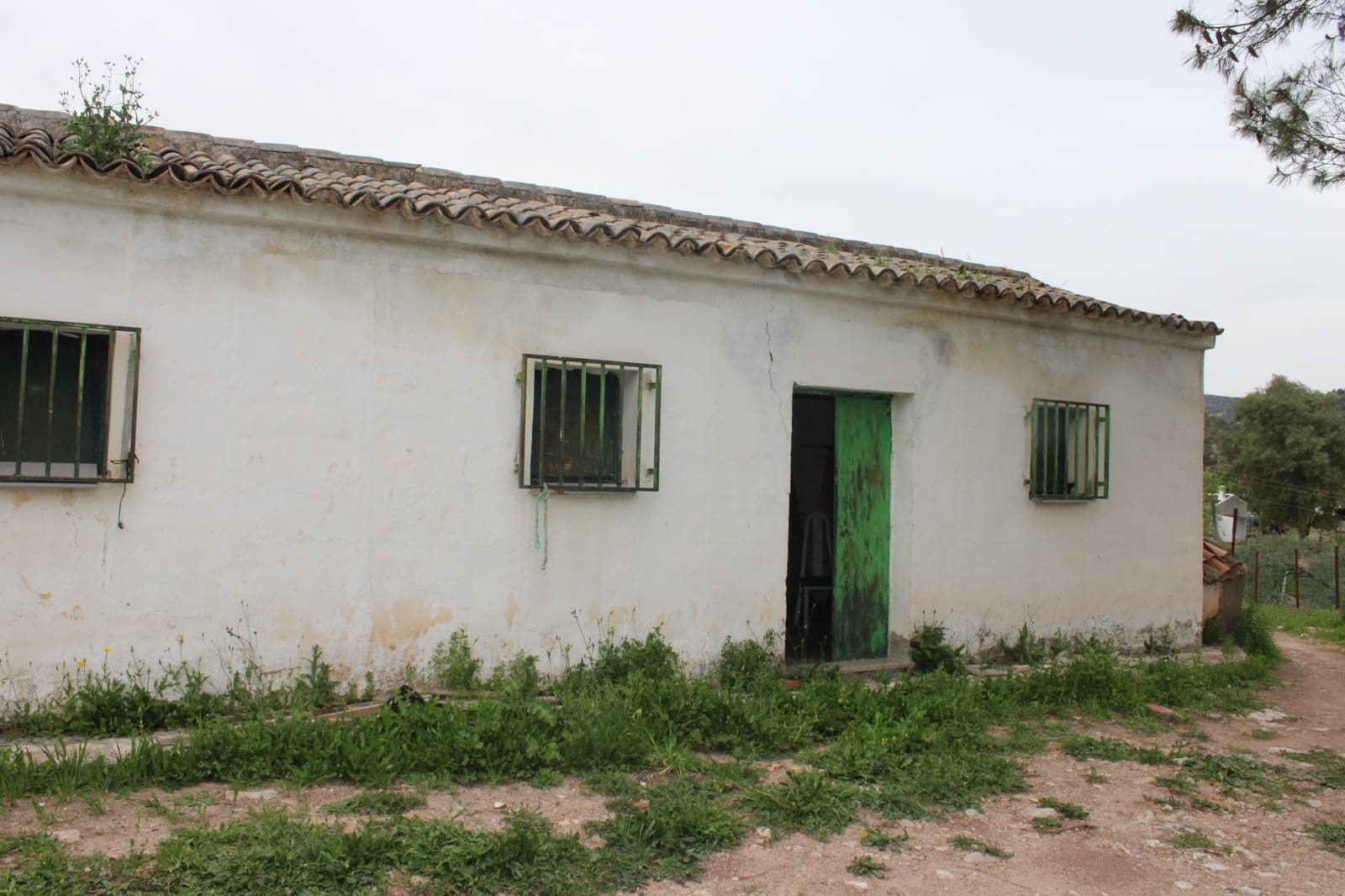 1 soveværelse Finca/Landehus til salg i Algodonales - € 180.000 (Ref: 8940557)