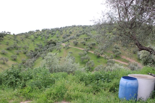 1 soveværelse Finca/Landehus til salg i Algodonales - € 180.000 (Ref: 8940557)