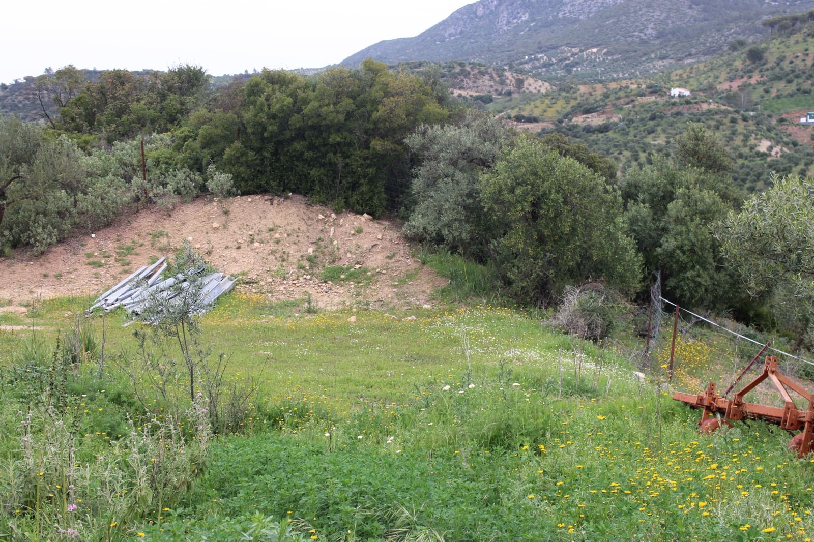 1 soveværelse Finca/Landehus til salg i Algodonales - € 180.000 (Ref: 8940557)