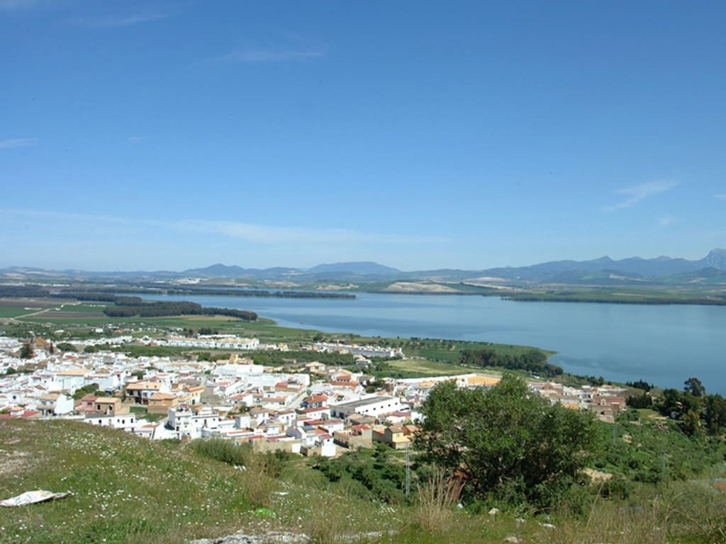 Bouwgrond te koop in Bornos - € 27.000 (Ref: 8982873)