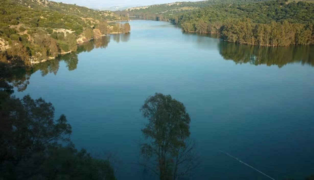 Bouwgrond te koop in Bornos - € 27.000 (Ref: 8982873)