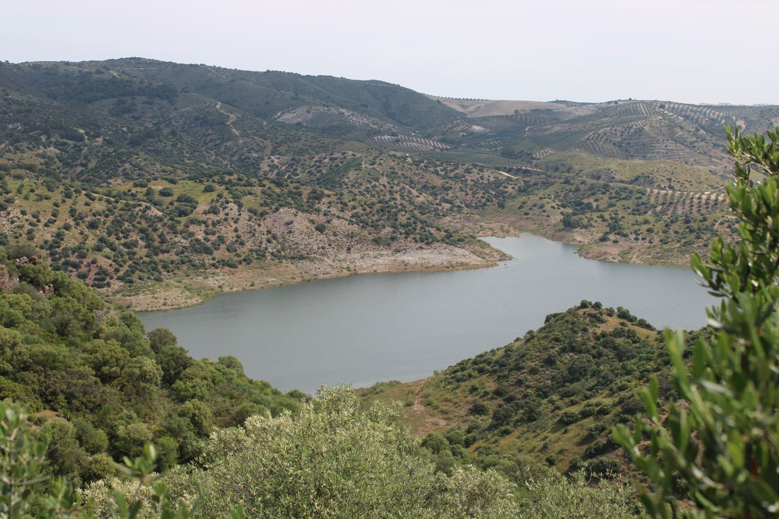 13 soveværelse Finca/Landehus til salg i Moron de la Frontera - € 4.800.000 (Ref: 9008335)