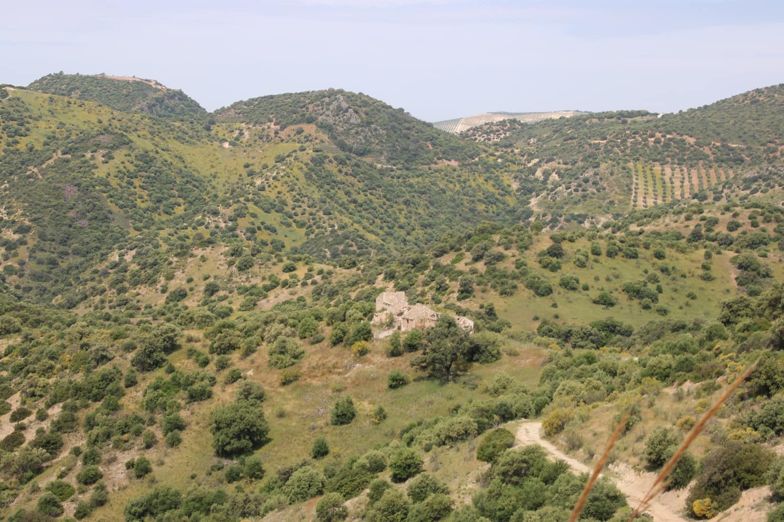 13 soveværelse Finca/Landehus til salg i Moron de la Frontera - € 4.800.000 (Ref: 9008335)