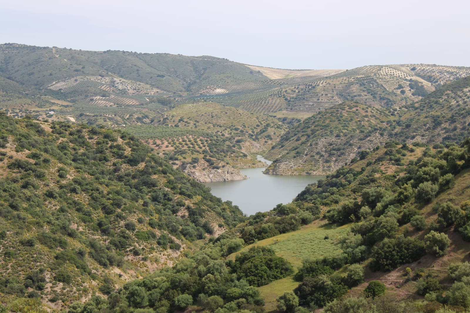 13 soveværelse Finca/Landehus til salg i Moron de la Frontera - € 4.800.000 (Ref: 9008335)