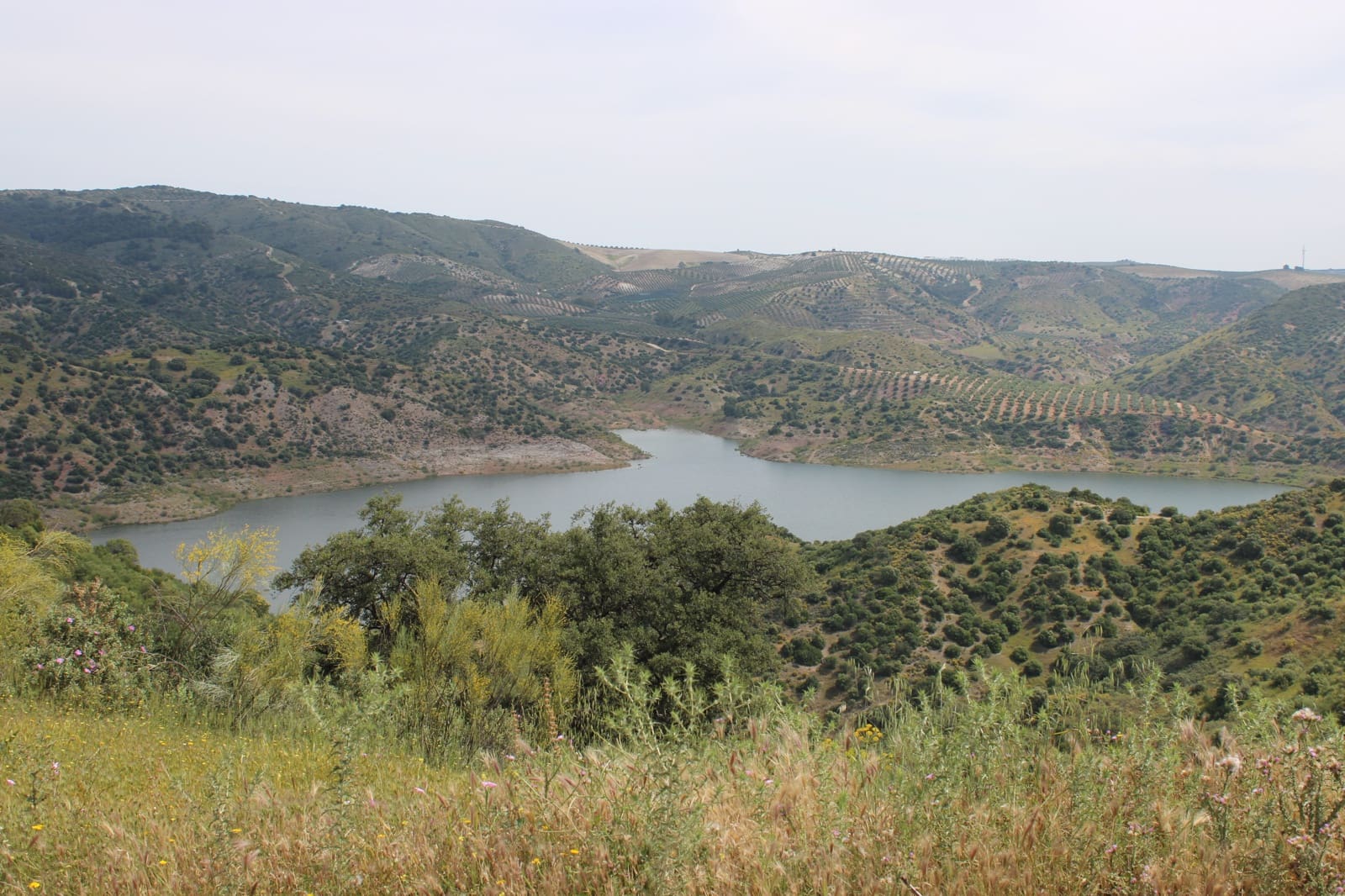 13 soveværelse Finca/Landehus til salg i Moron de la Frontera - € 4.800.000 (Ref: 9008335)