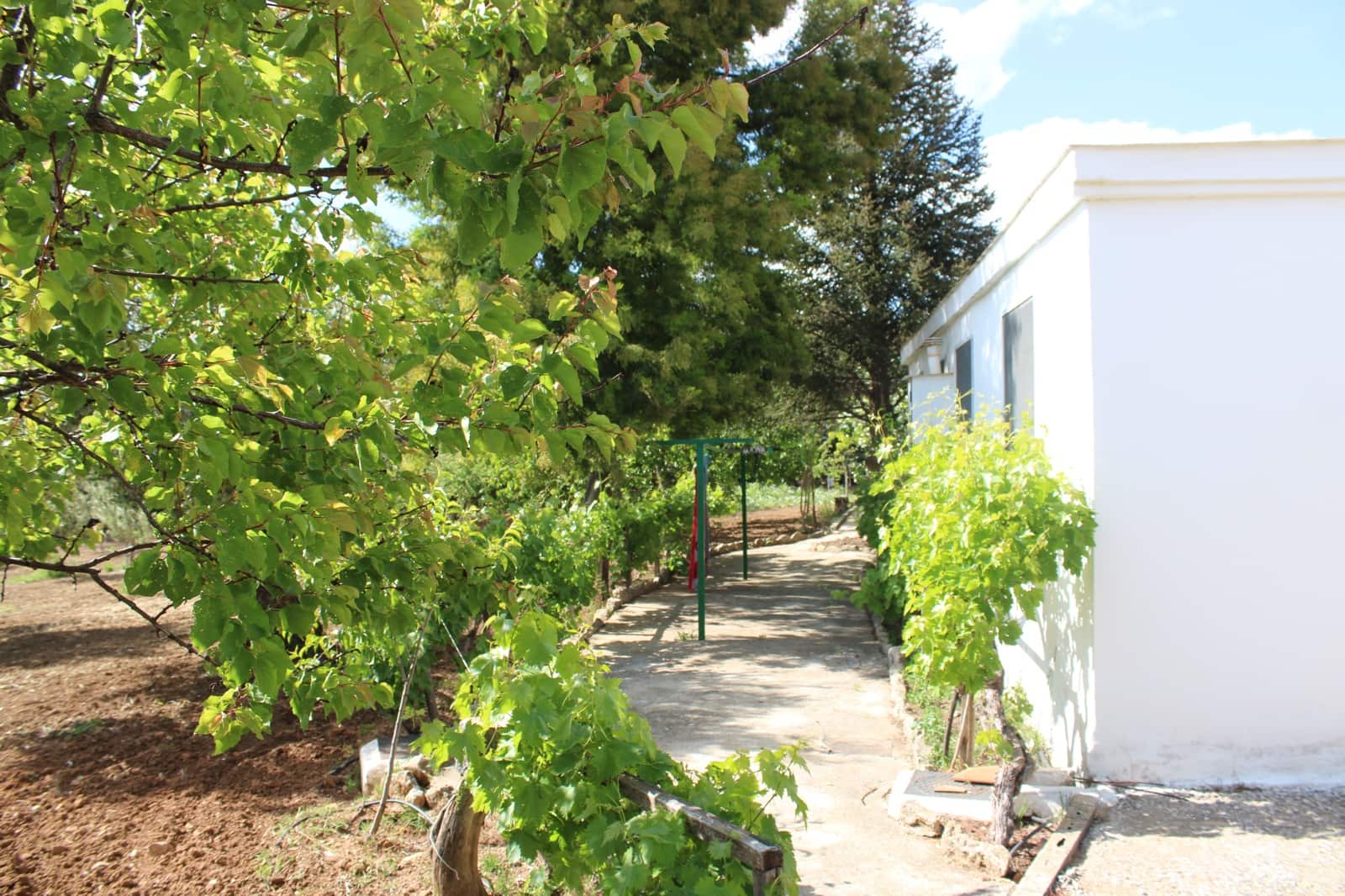 5 soverom Finca/Herregård til salgs i Ronda med svømmebasseng - € 450 000 (Ref: 9022215)