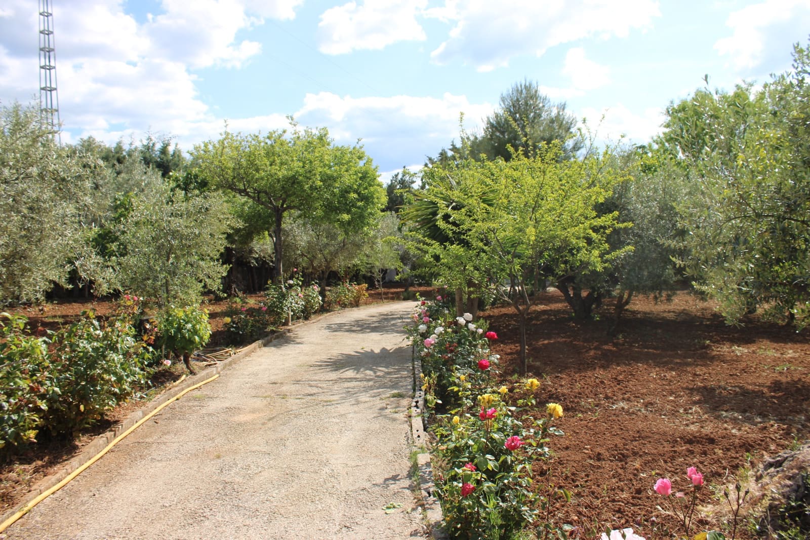 5 soverom Finca/Herregård til salgs i Ronda med svømmebasseng - € 450 000 (Ref: 9022215)