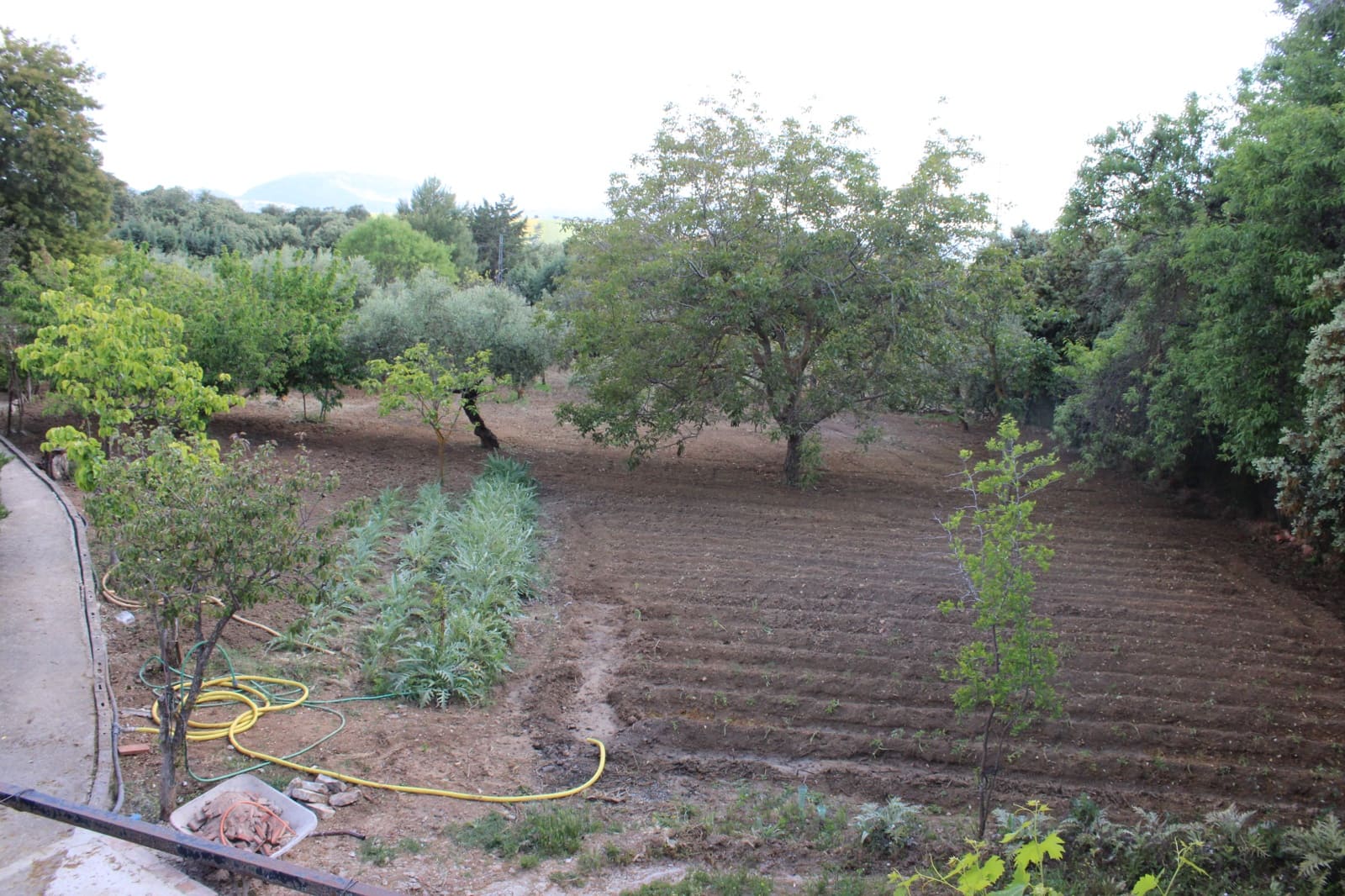 5 soverom Finca/Herregård til salgs i Ronda med svømmebasseng - € 450 000 (Ref: 9022215)