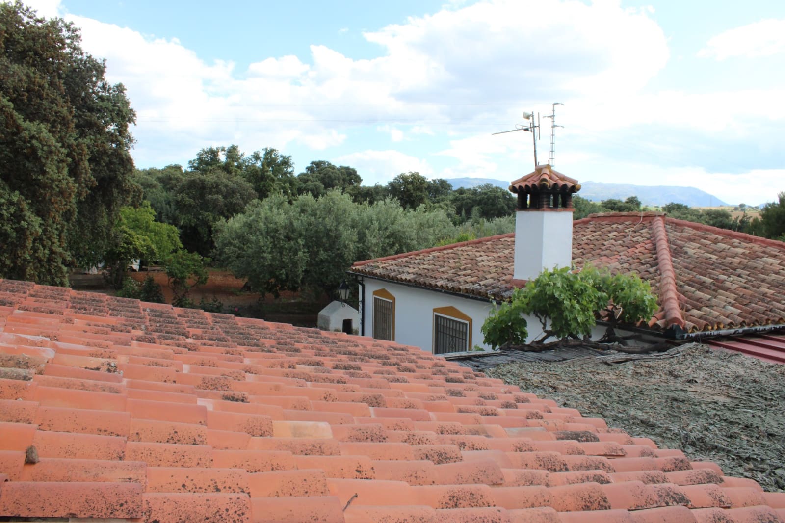 5 soverom Finca/Herregård til salgs i Ronda med svømmebasseng - € 450 000 (Ref: 9022215)