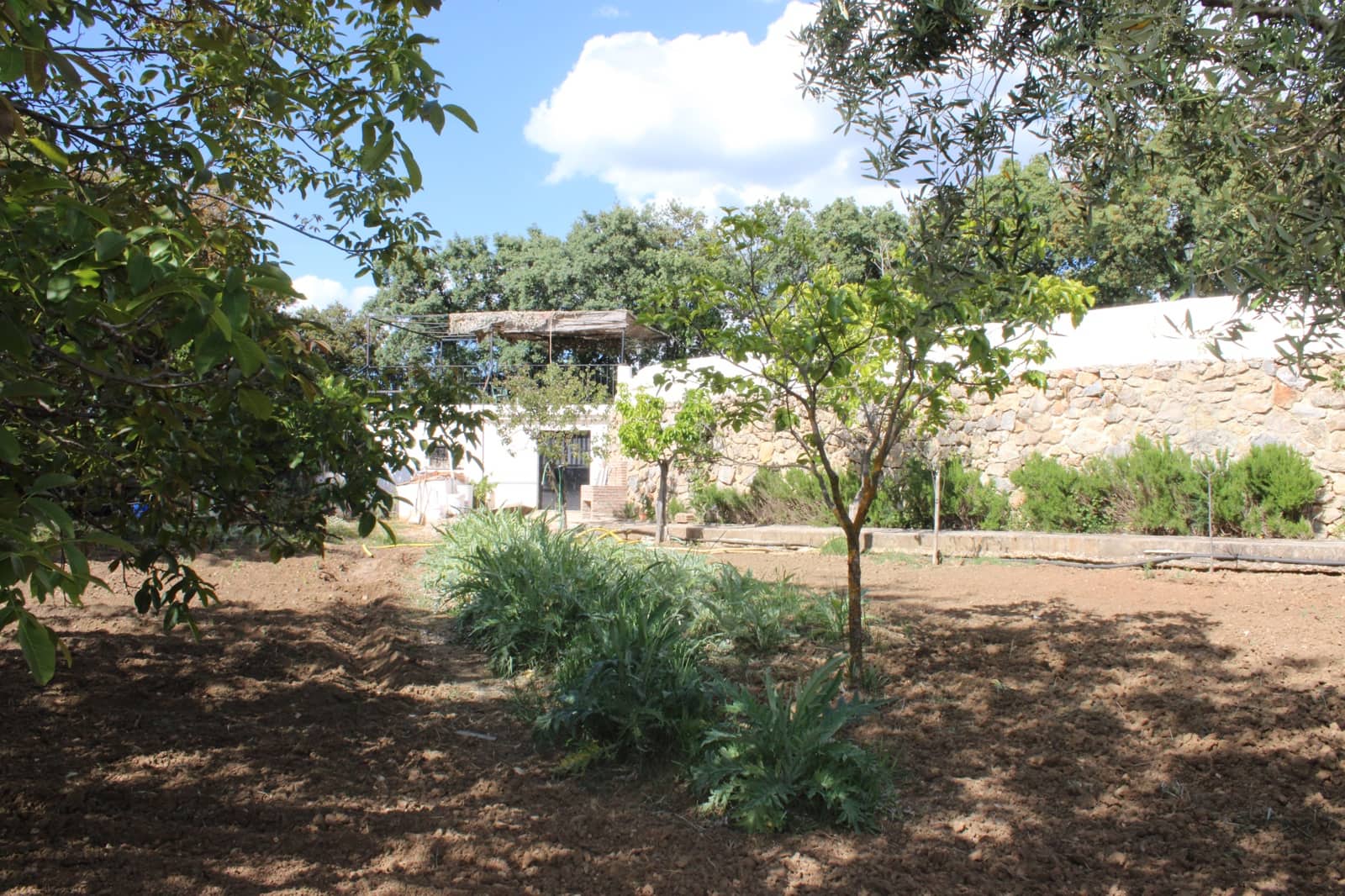 5 soverom Finca/Herregård til salgs i Ronda med svømmebasseng - € 450 000 (Ref: 9022215)