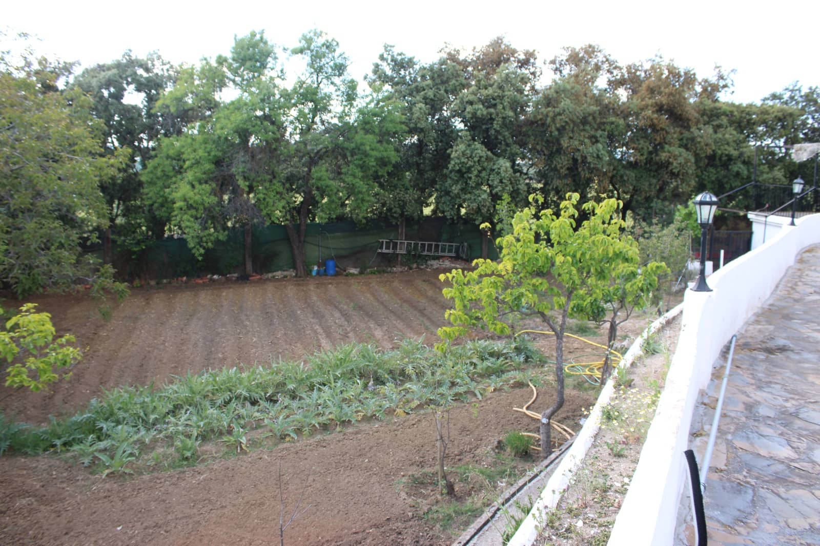 5 soverom Finca/Herregård til salgs i Ronda med svømmebasseng - € 450 000 (Ref: 9022215)