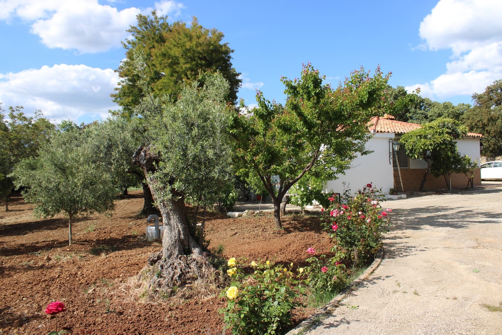 5 soverom Finca/Herregård til salgs i Ronda med svømmebasseng - € 450 000 (Ref: 9022215)