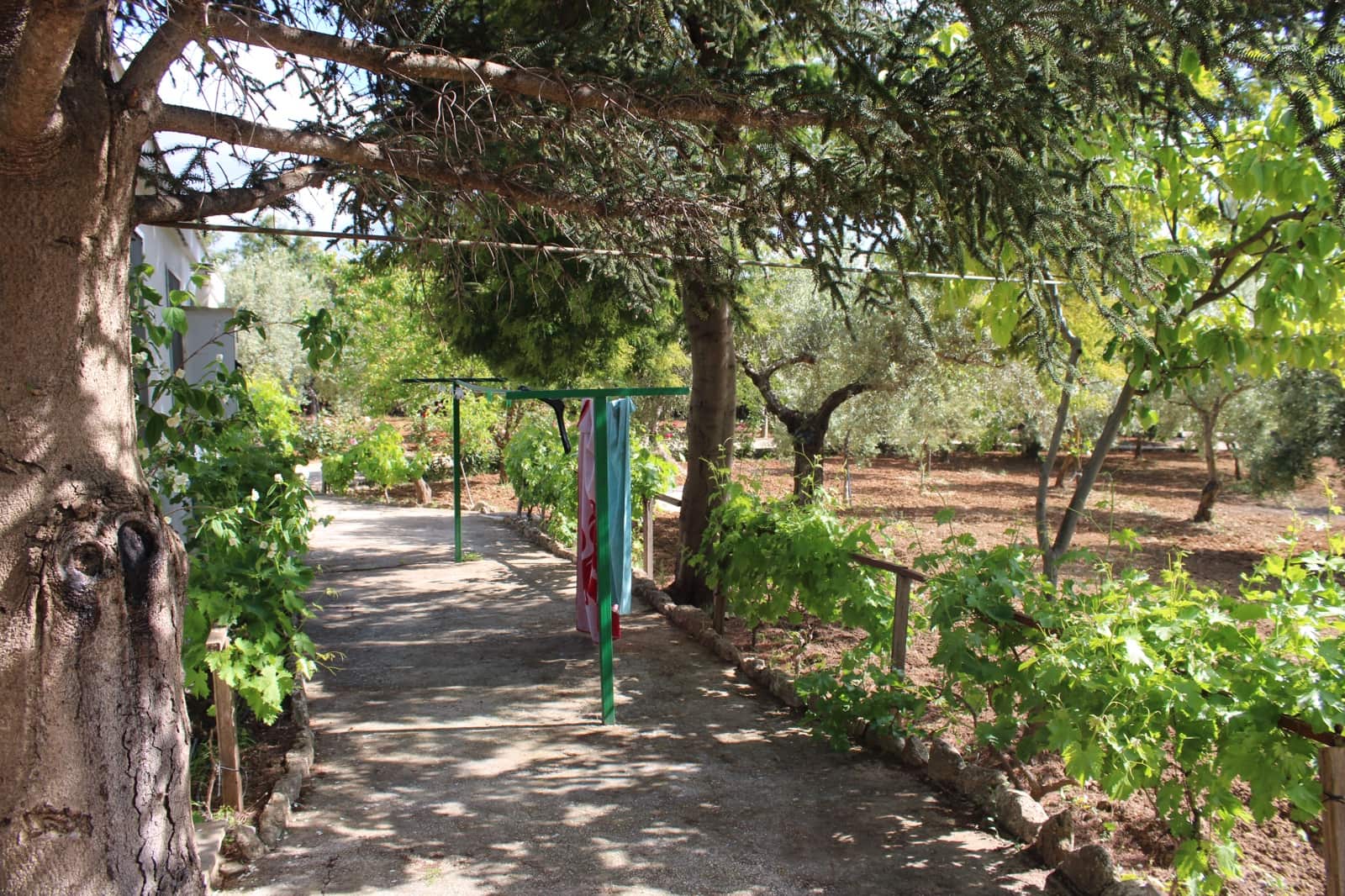 5 soverom Finca/Herregård til salgs i Ronda med svømmebasseng - € 450 000 (Ref: 9022215)