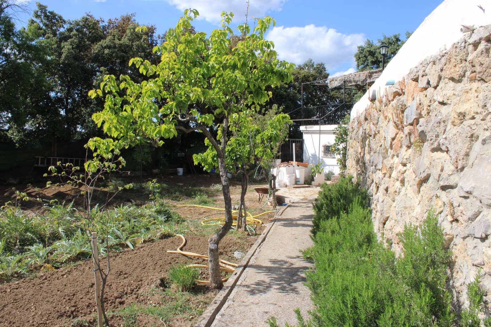 5 soverom Finca/Herregård til salgs i Ronda med svømmebasseng - € 450 000 (Ref: 9022215)