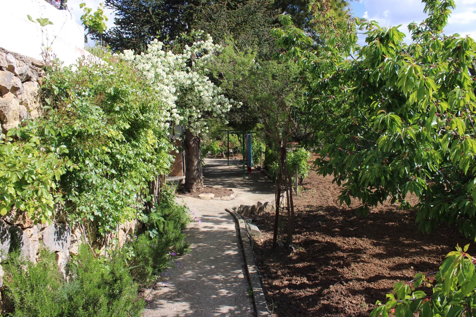 5 soverom Finca/Herregård til salgs i Ronda med svømmebasseng - € 450 000 (Ref: 9022215)