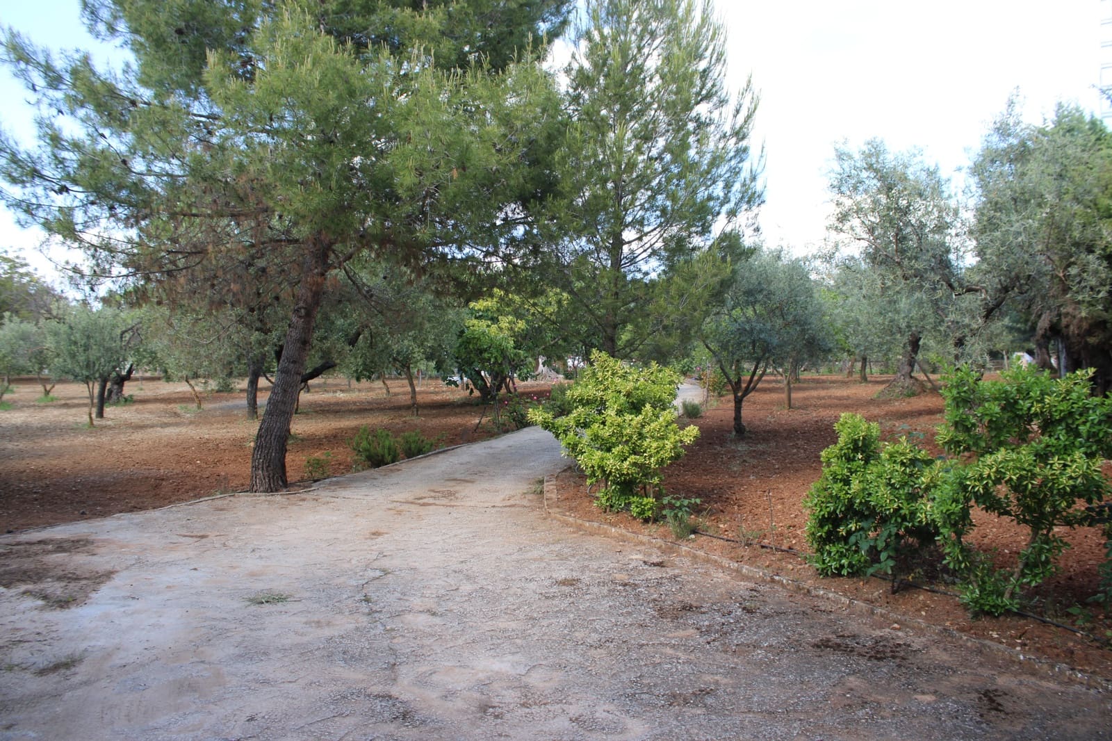 5 soverom Finca/Herregård til salgs i Ronda med svømmebasseng - € 450 000 (Ref: 9022215)