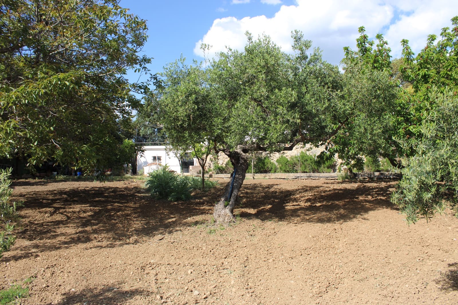 5 soverom Finca/Herregård til salgs i Ronda med svømmebasseng - € 450 000 (Ref: 9022215)