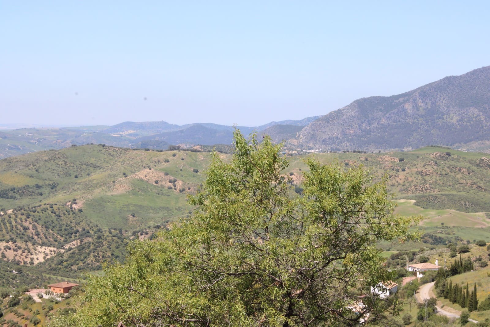 Byggetomt til salgs i El Gastor - € 100 000 (Ref: 9072582)