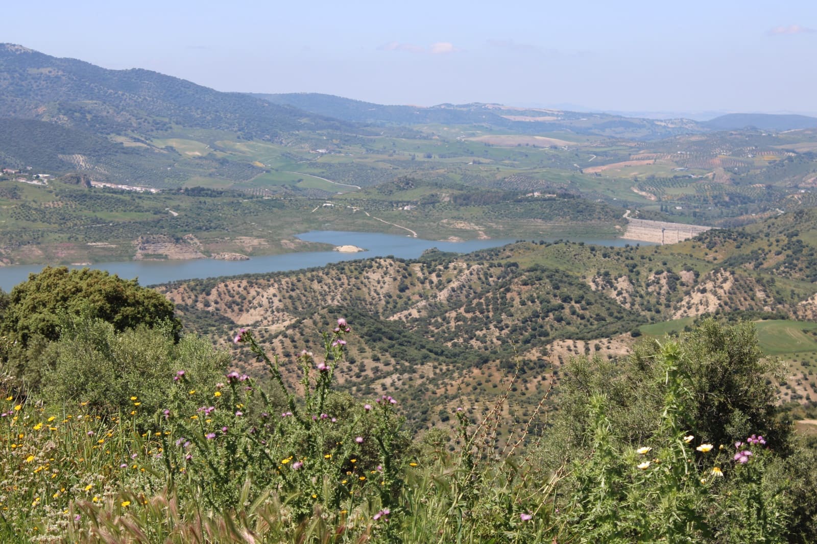 Byggetomt til salgs i El Gastor - € 100 000 (Ref: 9072582)