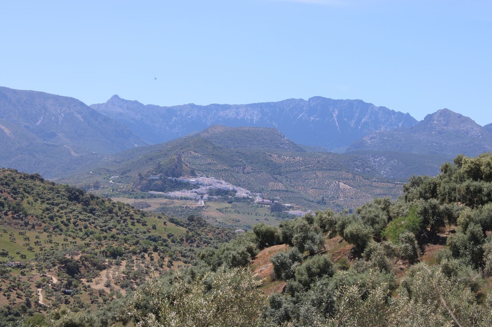 Byggetomt til salgs i El Gastor - € 100 000 (Ref: 9072582)