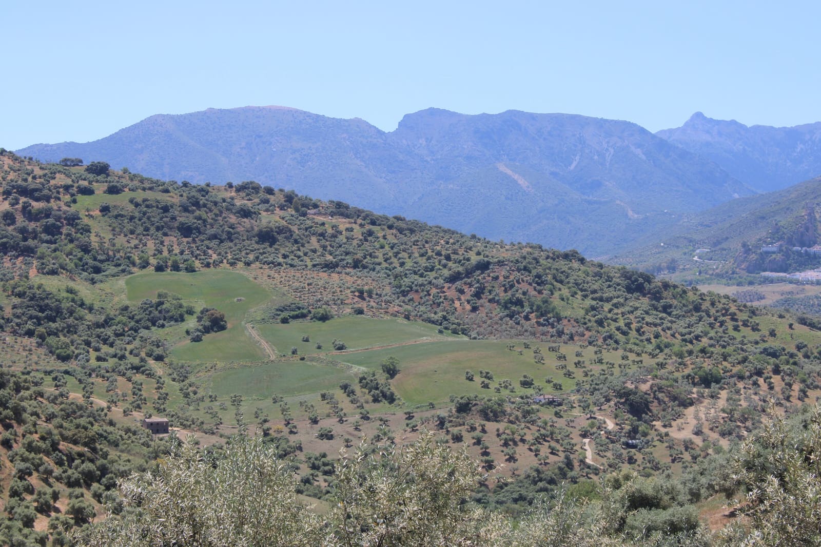 Byggetomt til salgs i El Gastor - € 100 000 (Ref: 9072582)