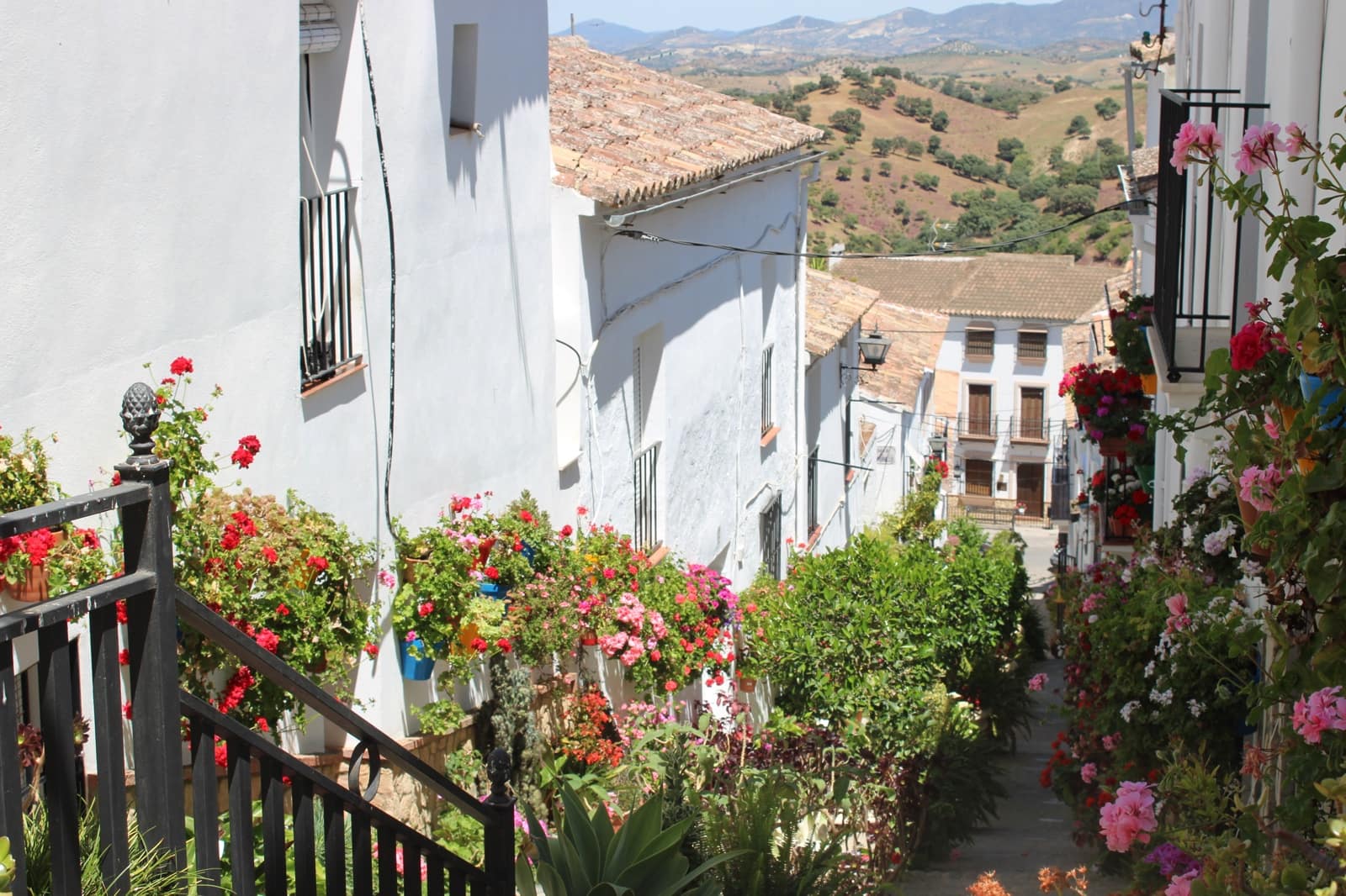 Byggetomt til salgs i El Gastor - € 100 000 (Ref: 9072582)