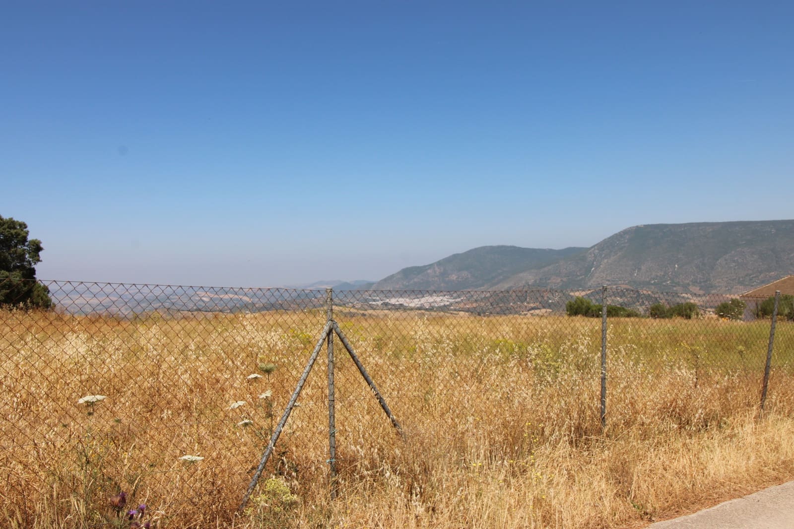 Byggetomt til salgs i El Gastor - € 100 000 (Ref: 9072582)