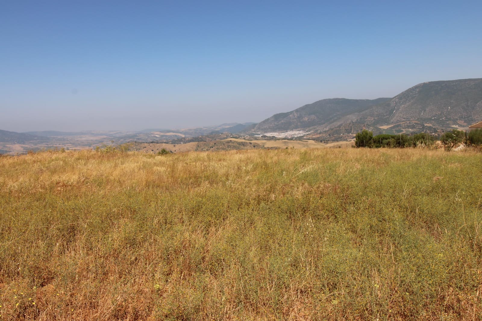 Byggetomt til salgs i El Gastor - € 100 000 (Ref: 9072582)