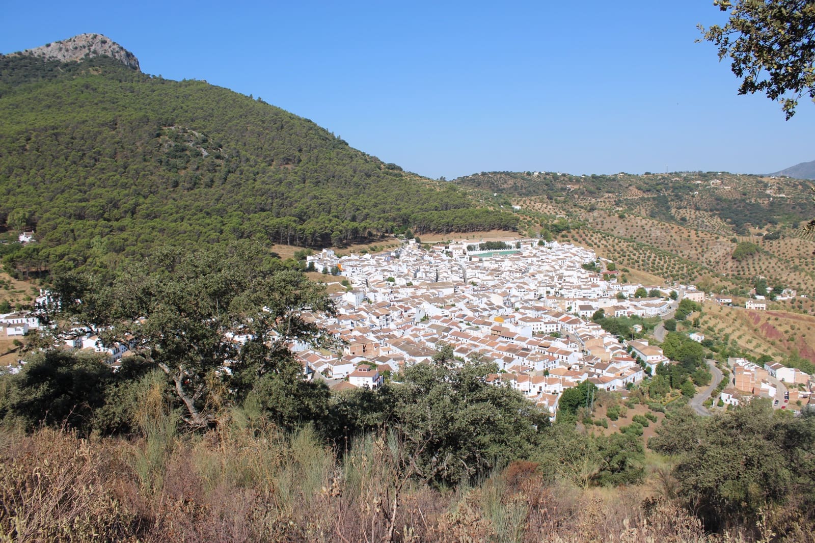 Byggetomt til salgs i El Gastor - € 100 000 (Ref: 9072582)