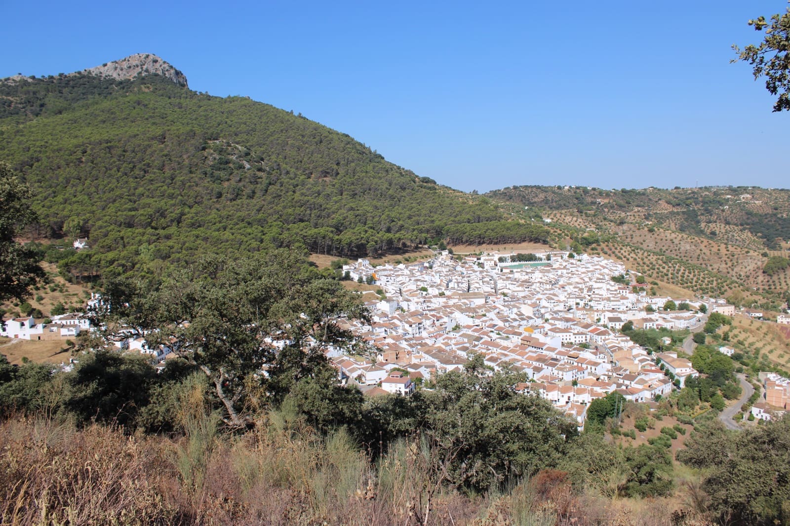 Byggetomt til salgs i El Gastor - € 100 000 (Ref: 9072582)