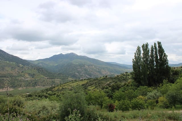 3 slaapkamer Finca/Landhuis te koop in Zahara de la Sierra - € 240.000 (Ref: 9150947)