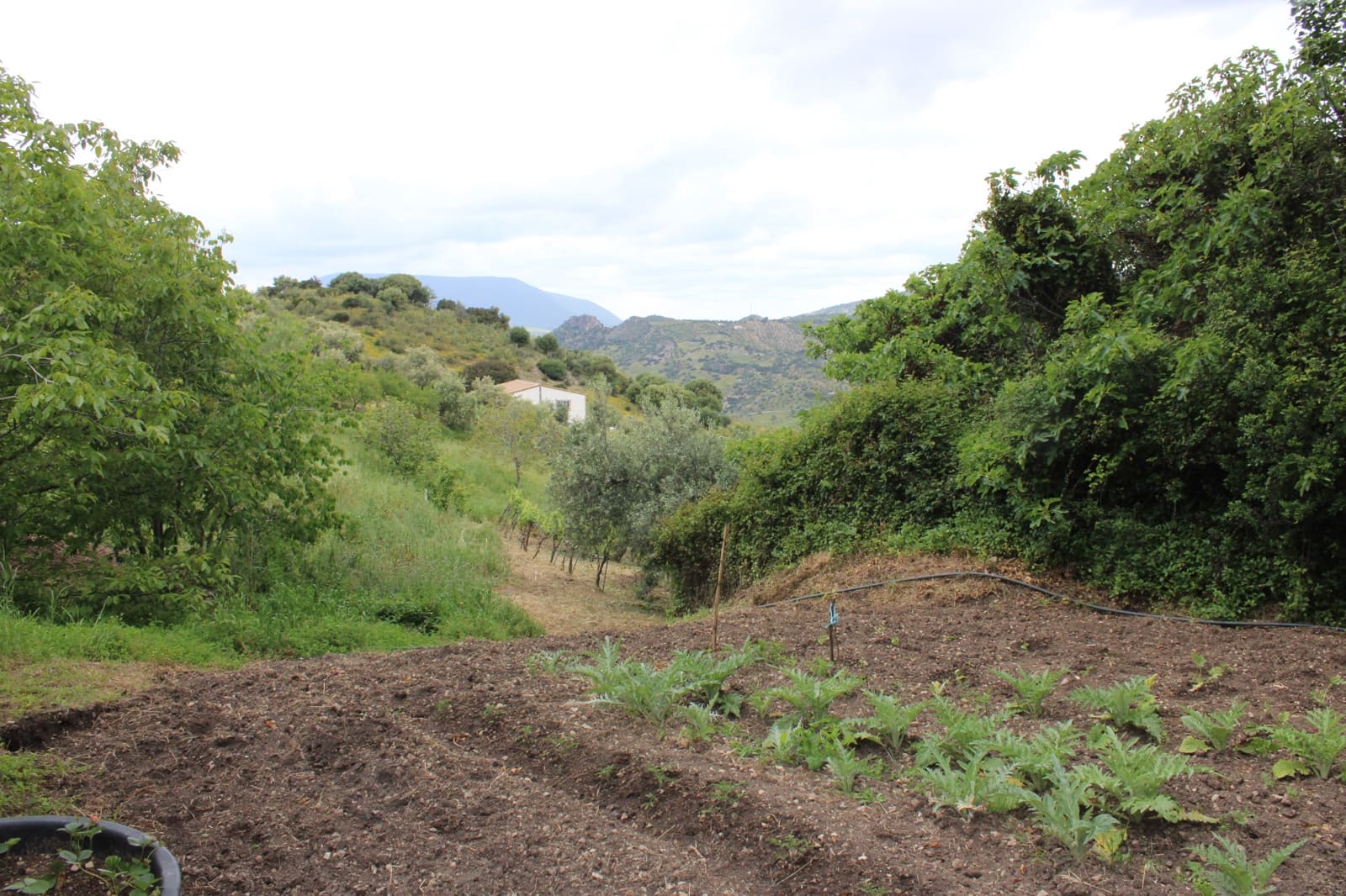 3 soveværelse Finca/Landehus til salg i Zahara de la Sierra - € 240.000 (Ref: 9150947)