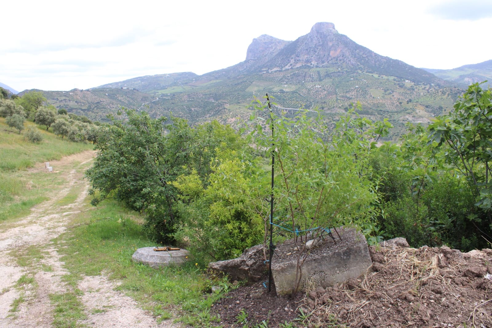 3 soveværelse Finca/Landehus til salg i Zahara de la Sierra - € 240.000 (Ref: 9150947)