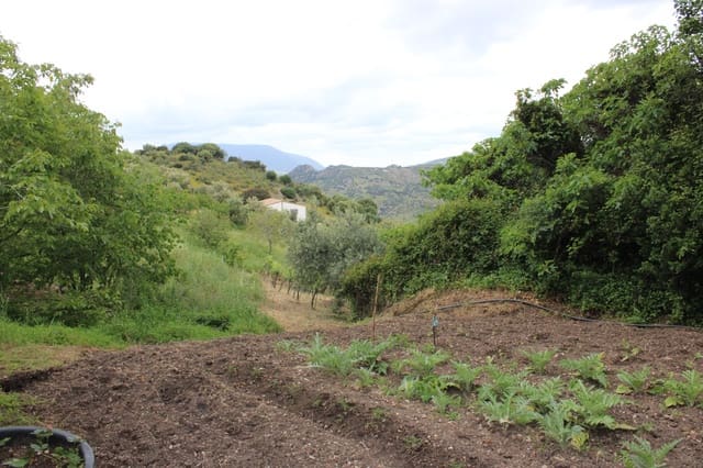 3 slaapkamer Finca/Landhuis te koop in Zahara de la Sierra - € 240.000 (Ref: 9150947)